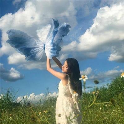 万花锦绣