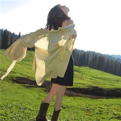 梦想纪念碑：圣路易拱门